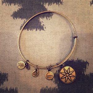 Alex and Ani charm bracelet